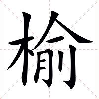 榆 意思|榆的意思，榆字的意思